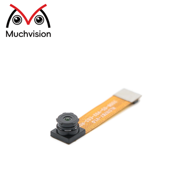 Omnivision ov 7251 0.3 MP DVP CAMERA MODULE GLOBAL SUTTER GLOBAL RATA GĦOLJA MONOCHROME Sensor tal-Viżjoni Inkorporata